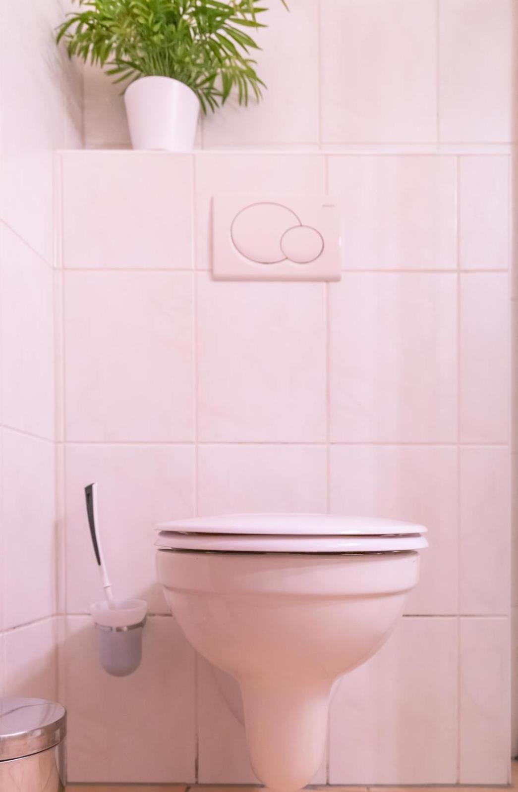 Ferienwohnung 4 Am Petersberg Neef Exteriör bild